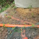 박동농장 이미지