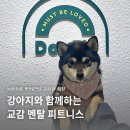 강남-133 | [서울/강남구]DogFit독핏 반려견 멘탈 피트니스 클래스 후기, 반려견 피트니스