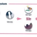 커스텀기공소 네이버블로그