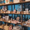 달마지복지센터 이미지