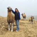 옥죽동해변 네이버블로그