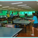 라이프 탁구클럽 이미지