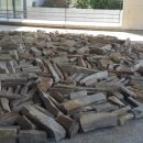 오렌지 파크 이미지