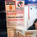 LG 앞 교통섬 이미지