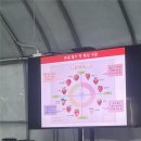 청정농장 | 🍓뚱이랑 다녀온 양평 딸기체험, 청정모아농장🍓