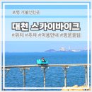 대천초등 | 보령 대천 필수 1위 코스 스카이바이크 예약실패 현장발권 성공