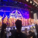 베어리핏 이미지