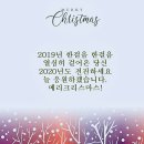 💕💕788기 수목출부(12.25~26) 크리스마스를 멋지게~🦌🦌 이미지