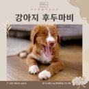 이산동물의료센터 | 시흥 능곡동 동물병원 이산동물의료센터에서 강아지 후두마비에 대해 알려드립니다.