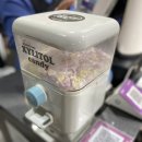 5시5막창팩토리 이미지