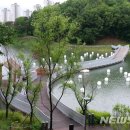 금광물산 이미지
