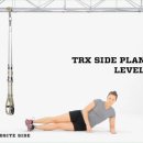 Suspended TRX - Side Plank 이미지