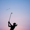 올림픽 골프장 이미지