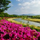 필봉산길 이미지