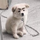 눈썹가게 이미지
