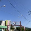 돼지꿈주유소 이미지