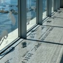 바라보다 이미지