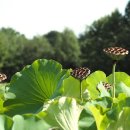 탑동농장 이미지