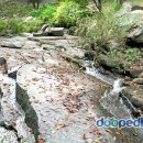 함허동천 시범야영장 이미지