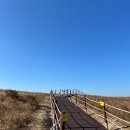 원북농협 하나로마트 이미지