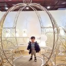 바니베어뮤지엄 이미지