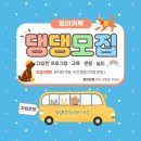 일리키독 이미지