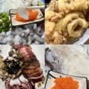 서구-4 | 대구 서구 산오징어 맛집 <싱싱산오징어> / 4월 금어기 기간 방문 후기 / 갑오징어회