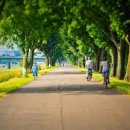 바리스타 자격증 취득하기 이미지