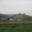 대곡면-11 이미지