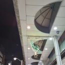 케이엔마트 | 관광하고 쇼핑하는 히로시마 2박 3일 여행 2일차 후기(규카츠 교토카츠규, 히로시마성, 슛케이엔 정원...