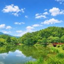 숲의하루 이미지