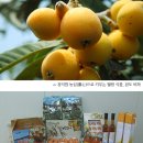 웰빙축산 이미지