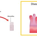 동물병원 WITH-PET 이미지