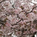 진악산농장 이미지