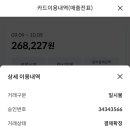 에코스팀