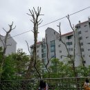 와우공원 이미지