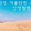 [안성 가볼만한 곳] 천안 / 평택 가까운 안성 팜랜드