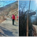 녹색산장펜션