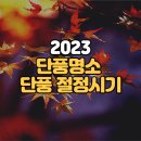 전국 인생 단풍 명소 추천 + 2023 단풍 절정 시기 일정