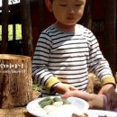 편백숲공방