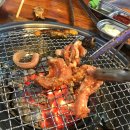 태중산아나고곰장어 이미지