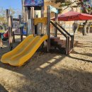 왜관초교(병설) | 경북 왜관 00초등학교 병설유치원 모래놀이터 모래소독 작업후기