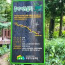 정자중앙길 이미지