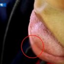 피자먹다 이미지