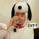 이놈애양곱창 이미지