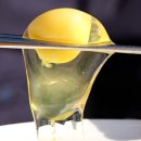 김태현농장 이미지