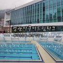 모전로 | 기장 수영장 추천! 정관아쿠아드림파크 자유수영 이용후기