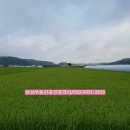 삼삼공인중개사사무소 이미지