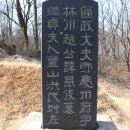 추사 김정희 친필 조기복 묘표 이미지