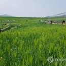 광신농장 이미지